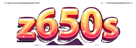 z650s logo